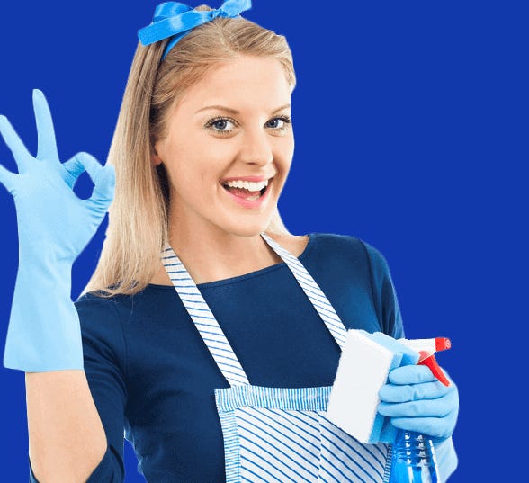 Domestic cleaners Neath