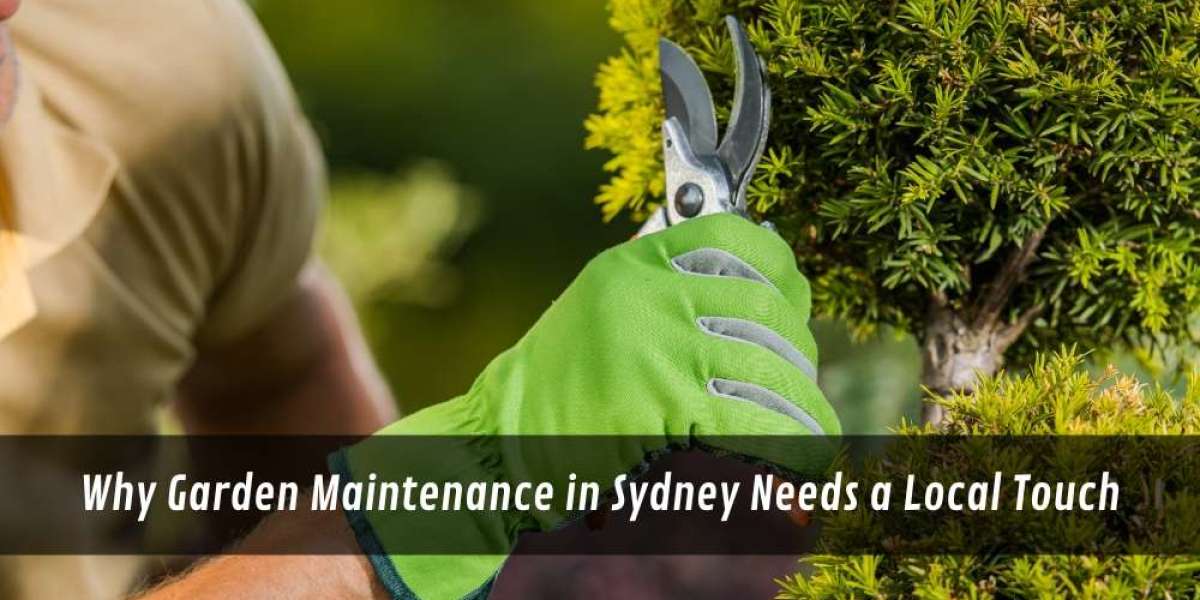 Why Garden Maintenance in Sydney Needs a Local Touch