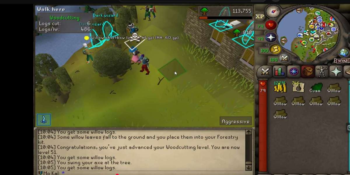 OSRS Ironman  Support by rsgoldfast