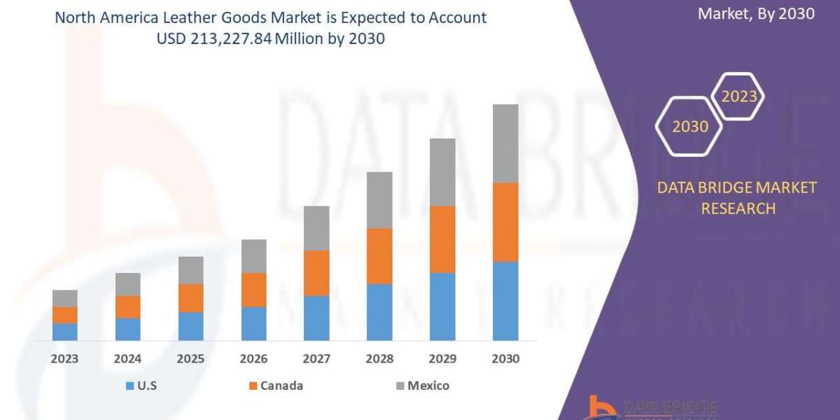 North America Leather Goods Market: Size, Share, and Future Growth