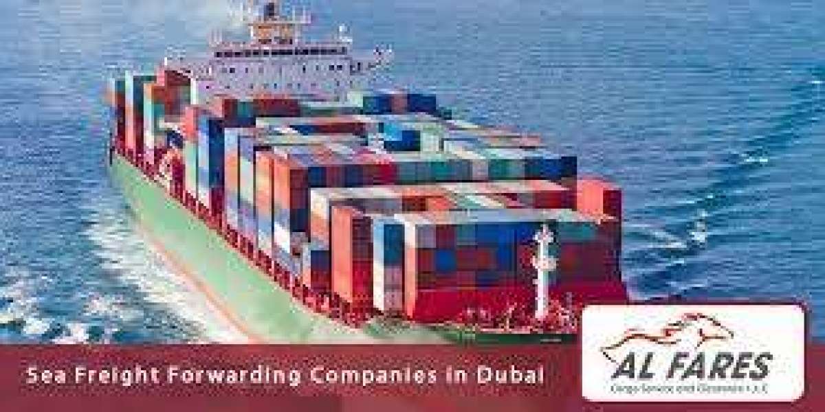 Reliable Sea Freight Companies in Dubai for Global Shipping Needs