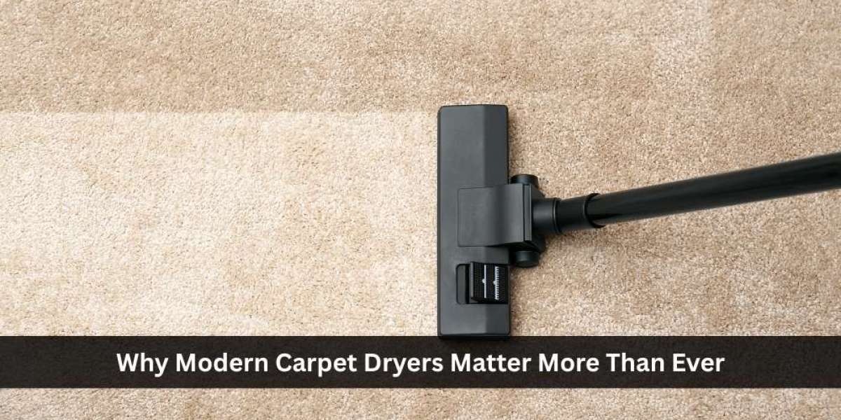 Why Modern Carpet Dryers Matter More Than Ever