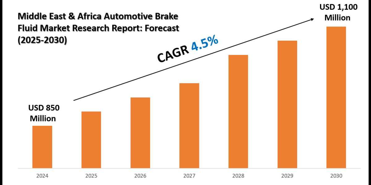 Middle East & Africa Automotive Brake Fluid Market Forecast, Segmentation & Key Insights