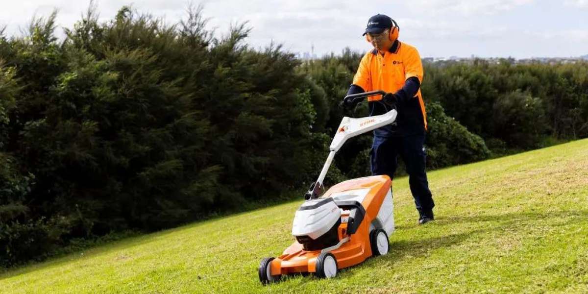 The Role of Expert Hedge Cutting in Garden Health and Aesthetics