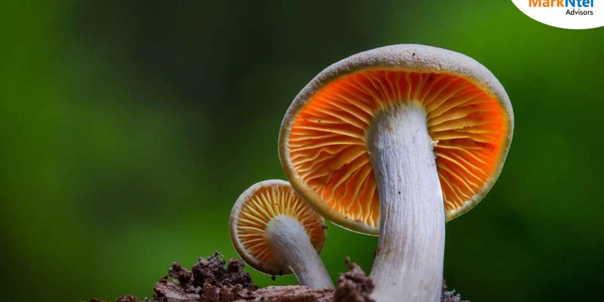 Mushroom Market in Indonesia: Insights on Distribution Channels, 2030