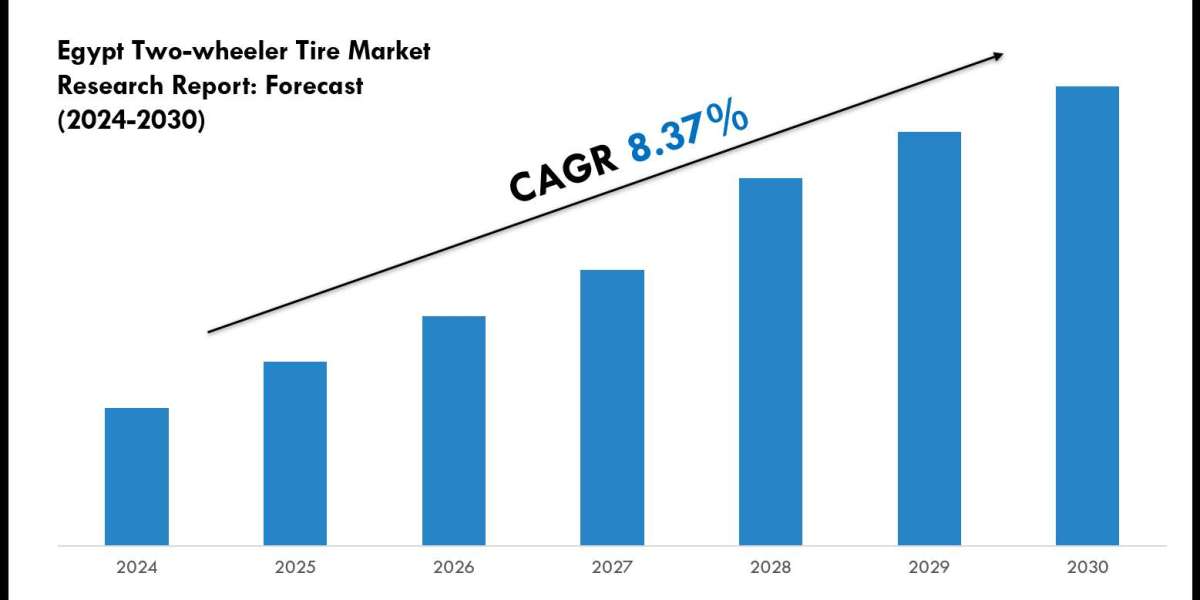 Comprehensive Egypt Two-wheeler Tire Market Analysis and Forecast Data