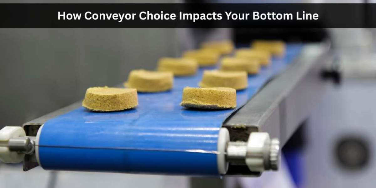 How Conveyor Choice Impacts Your Bottom Line