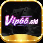 vip66cfd