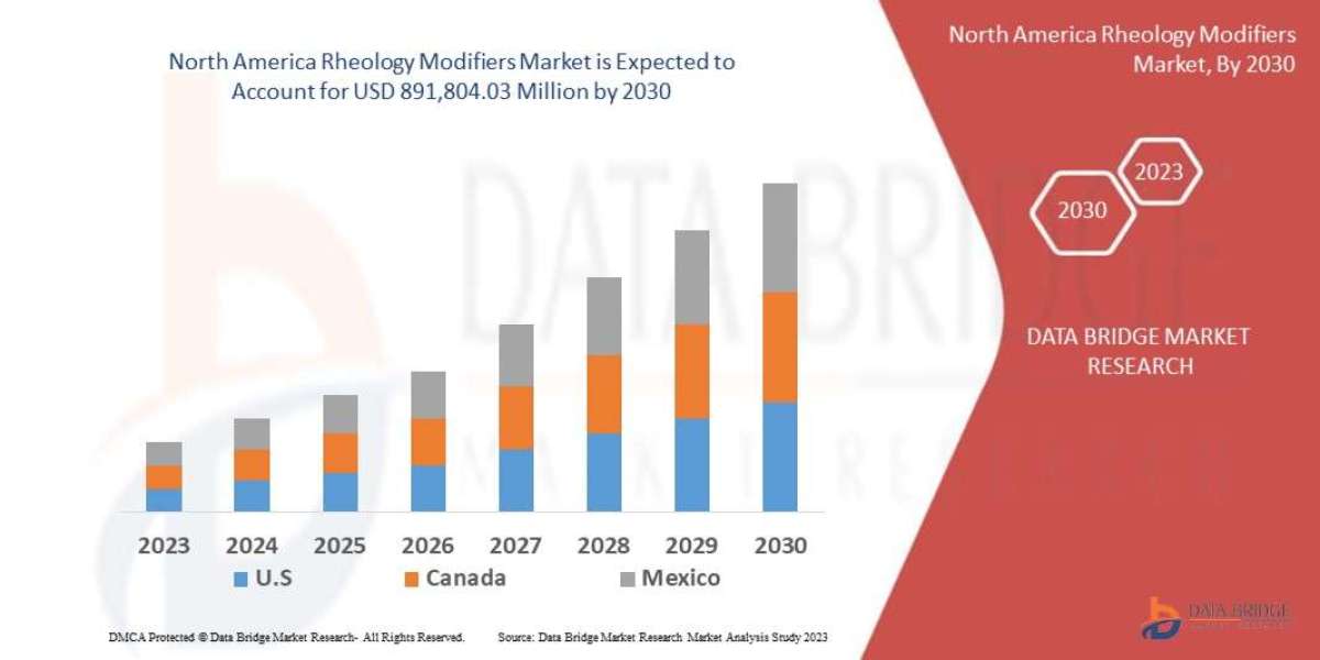 North America Rheology Modifiers Market: Enhancing Product Texture Across Industries