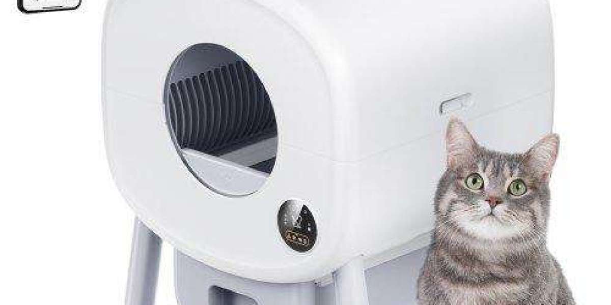 How Pawtechpet's Automatic Cat Litter Box Saves You Time?
