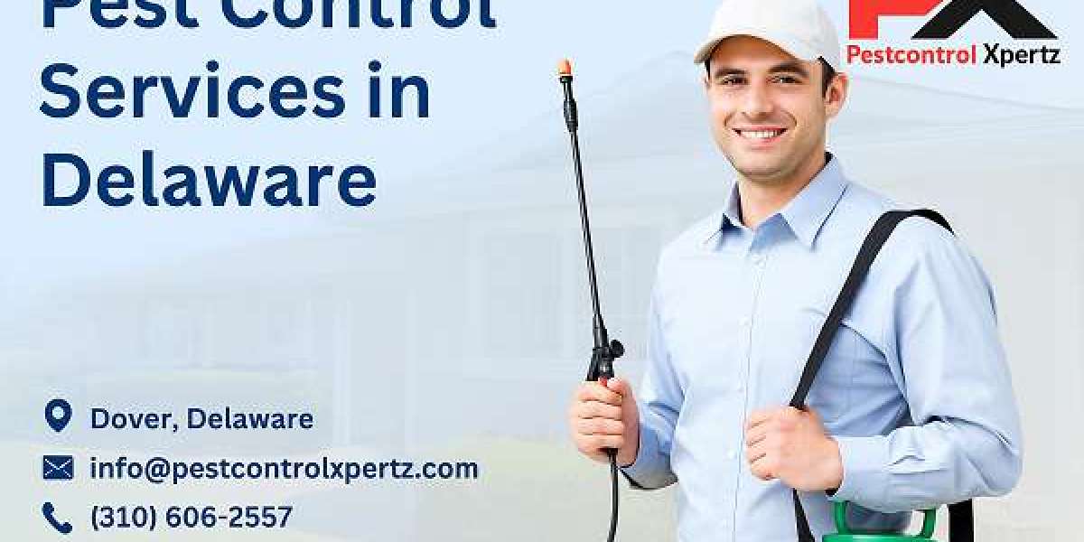 Effective Scorpion Pest Control for Eco-Friendly Homes
