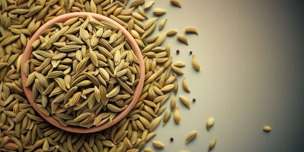 Import High-Quality Fennel Seeds from India | Trusted Export Guide