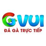 GVUI cine