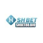 SHBET88 bio