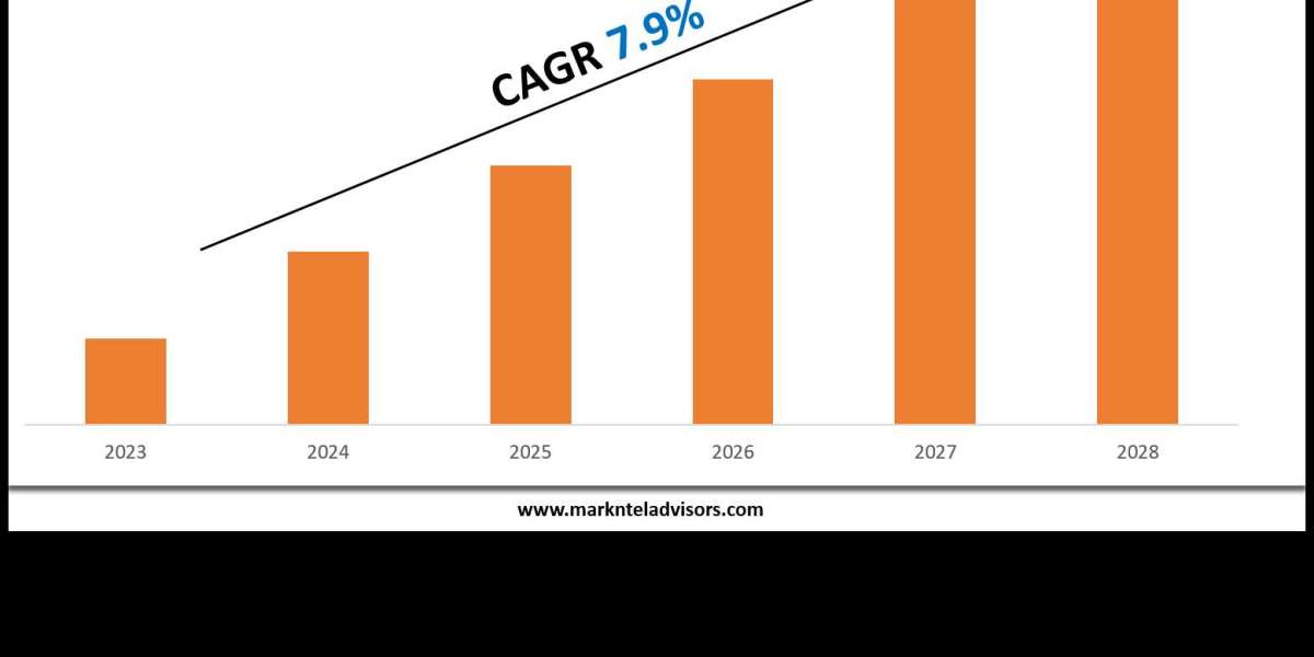 IT Training Market Scope, Volume and Executive Summary 2030