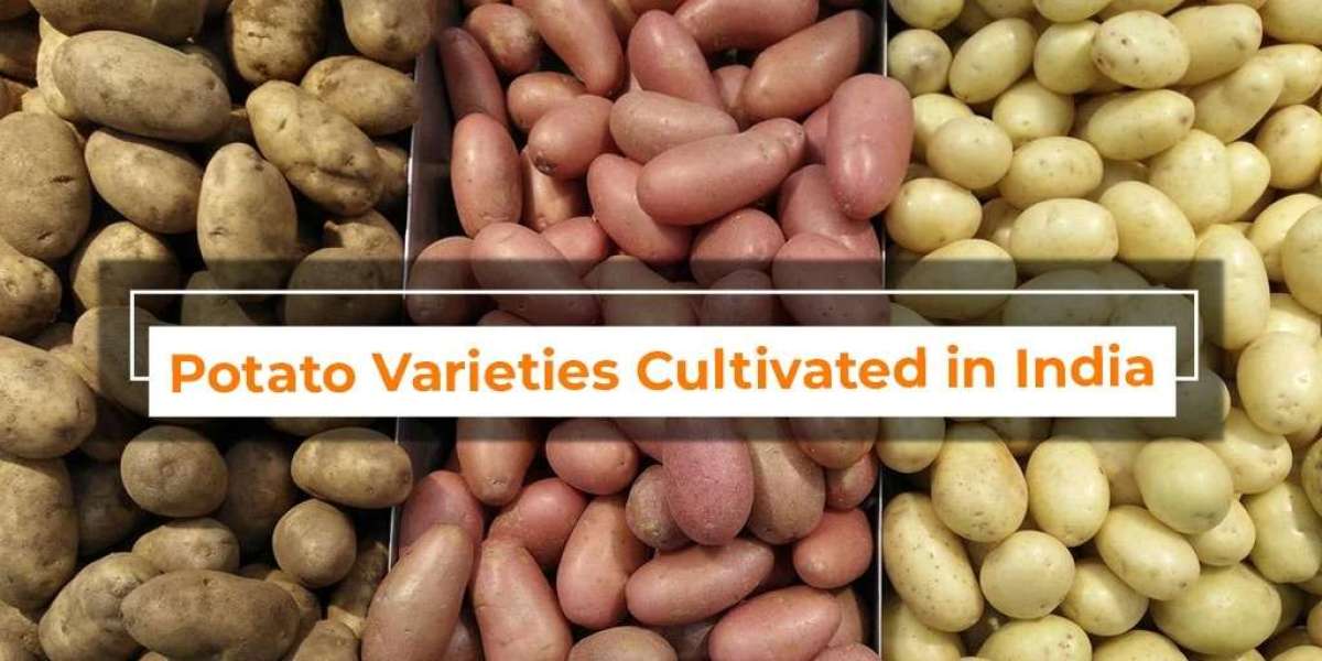 Let's examine the Varieties of potatoes in India and their Nutritional Value