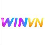 Winvn co com