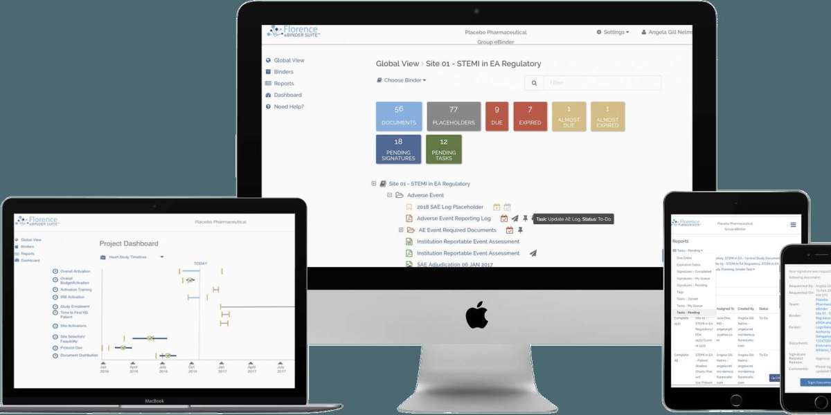 Government Website Development Dubai