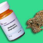 wellbutrin and marijuana