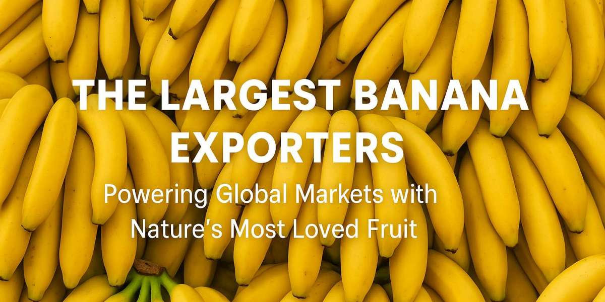 The Largest Banana Exporters: Powering Global Markets with Nature’s Most Loved Fruit