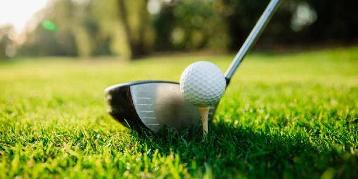 Best Novelty Golf Head Covers