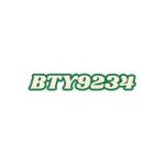 bty9234 net